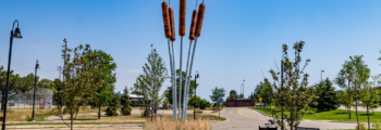 <a href="https://remocampopiano.com/slideshow-of-public-art/urban-cattails/" title="Click title for more info...">Cattails in Richfield</a>