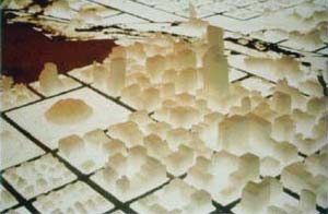 <a href="https://remocampopiano.com/installation/sugar-city" title="Click title for more info...">Sugar City Residency</a>