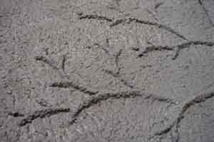 <a href="https://remocampopiano.com/sculpture/cement-tree" title="Click title for more info...">Convergence XI</a>